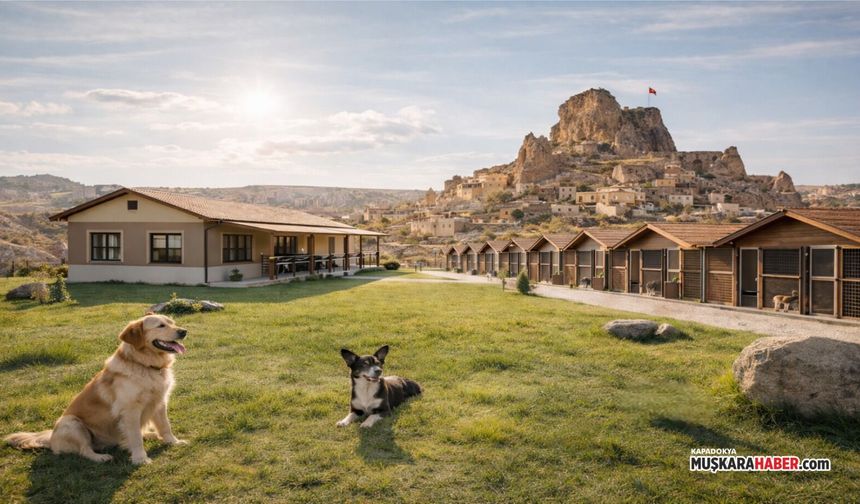 Hayvanseverleri sevindiren haber: Ürgüp’e yeni bakımevi yapılacak