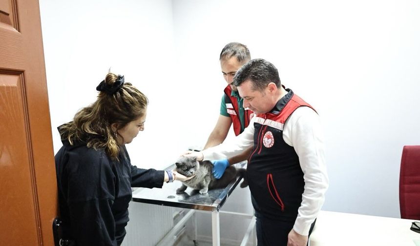 Nevşehir’de evcil hayvanlara mikroçip ve kuduz aşısı yapılıyor