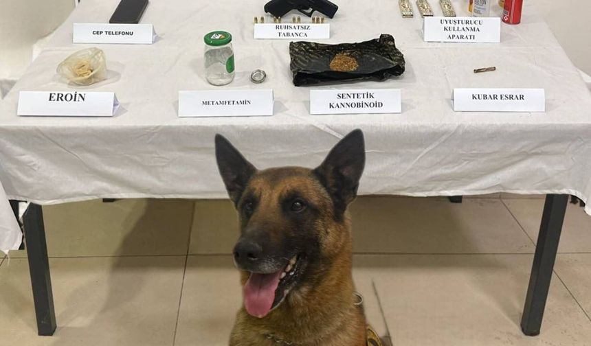 Nevşehir'de jandarma operasyonunda çok sayıda uyarıcı madde ele geçirildi