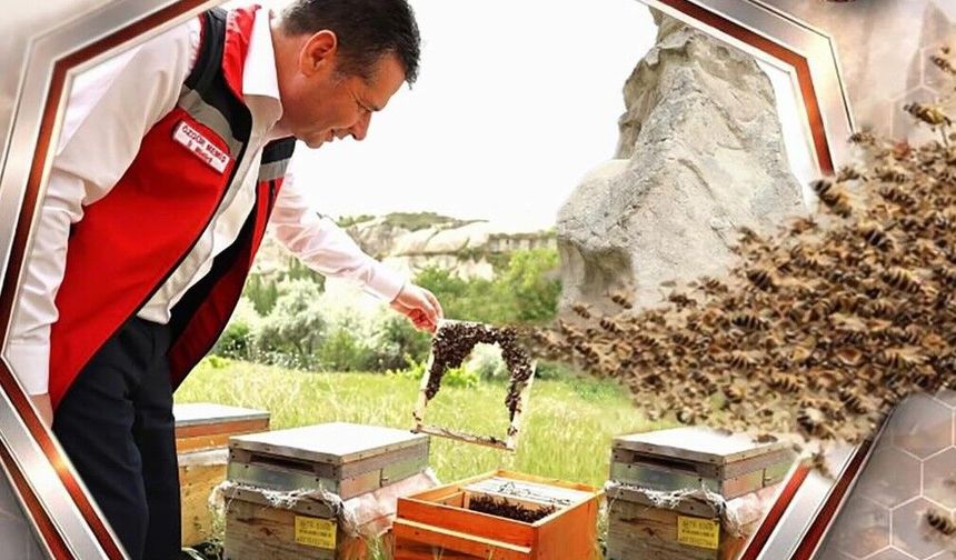 Nevşehir’de arıcılara destek başvuruları devam ediyor