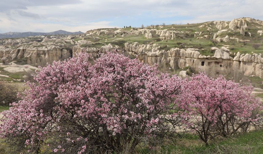 UNESCO Mirası Kapadokya’da bahar büyüsü başladı