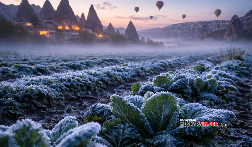 Meteoroloji uyardı: Nevşehir’de zirai don