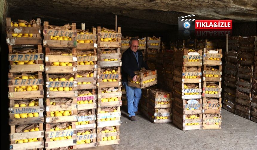 Kapadokya mağaralarında olgunlaşan “Yatak Limon” dünya pazarına açılıyor