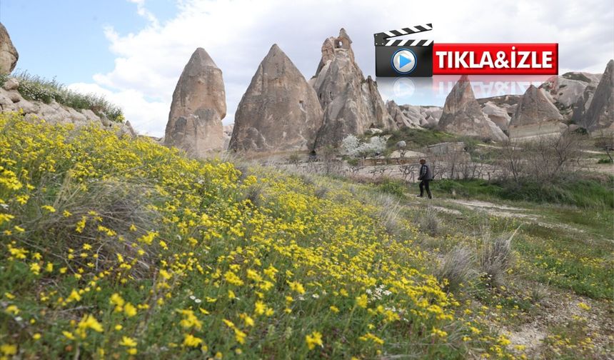 Kapadokya baharda bir başka güzel: Vadiler renk cümbüşüne döndü
