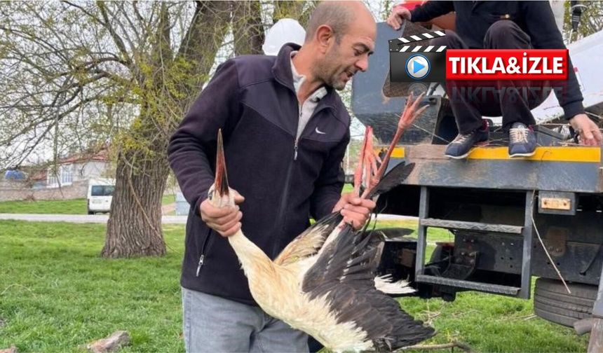 Köylüler ve ekipler el ele verdi: Mahsur kalan leylek kurtarıldı