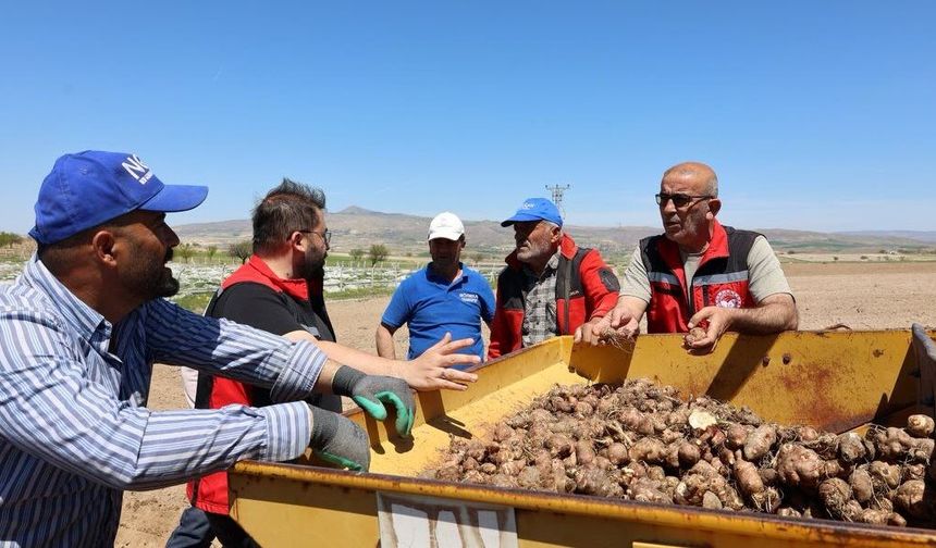 Nevşehir’de yer elması üretimi ilk kez bu ölçekte yapıldı