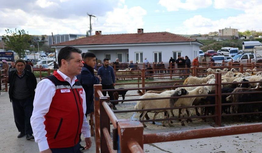 Nevşehir Hayvan Pazarı’nda bayram mesaisi: Kurbanlıklar denetlendi