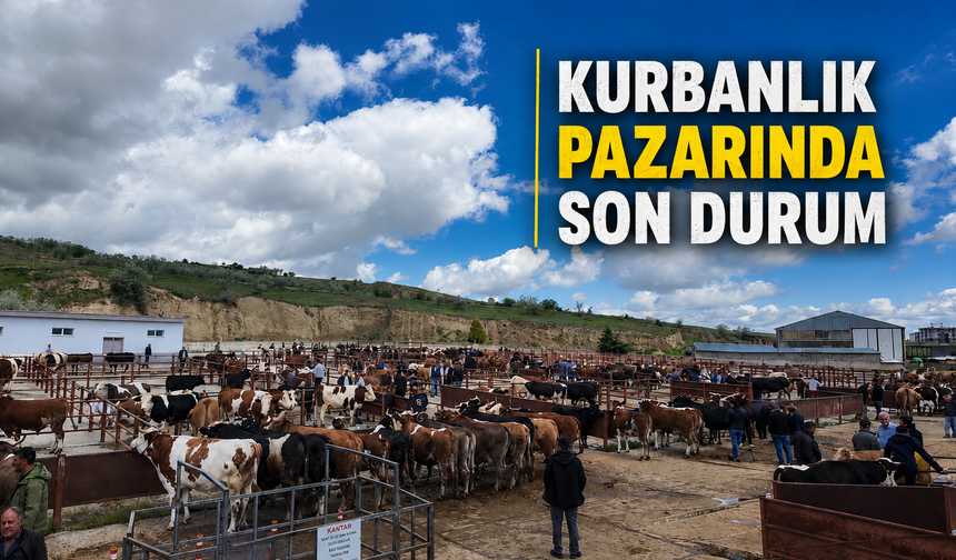 Kurbanlık pazarında yoğunluk arttı, denetimler sıklaştı