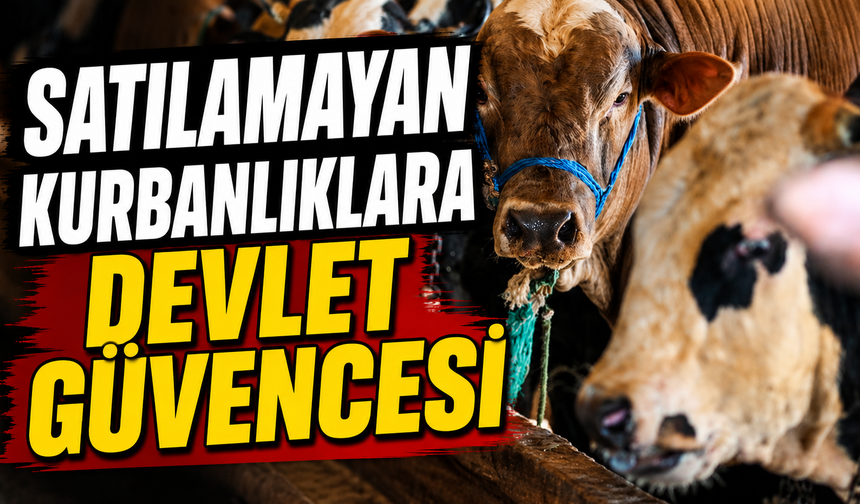 Nevşehirli besiciler dikkat! Satılmayan kurbanlıklar için başvuru süreci başladı