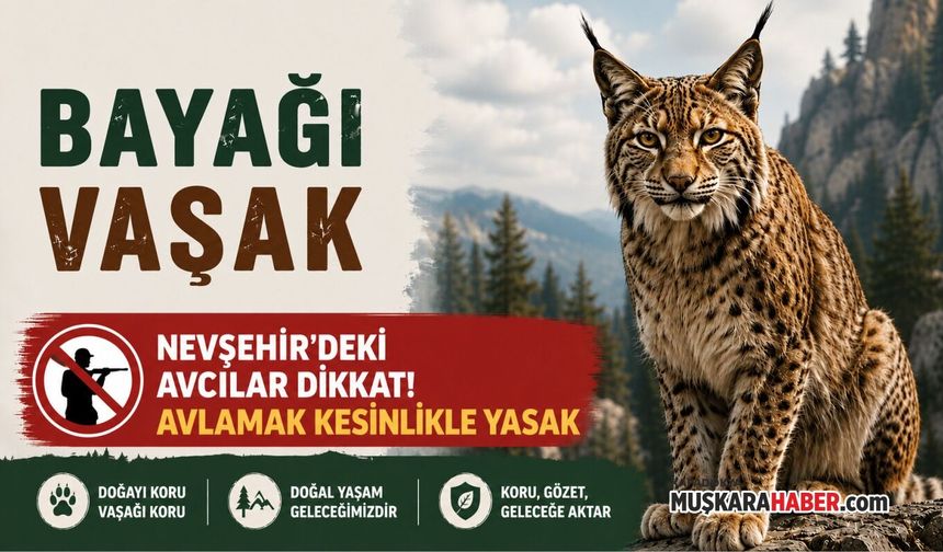 Nevşehir’de koruma altındaki vaşak için kritik uyarı