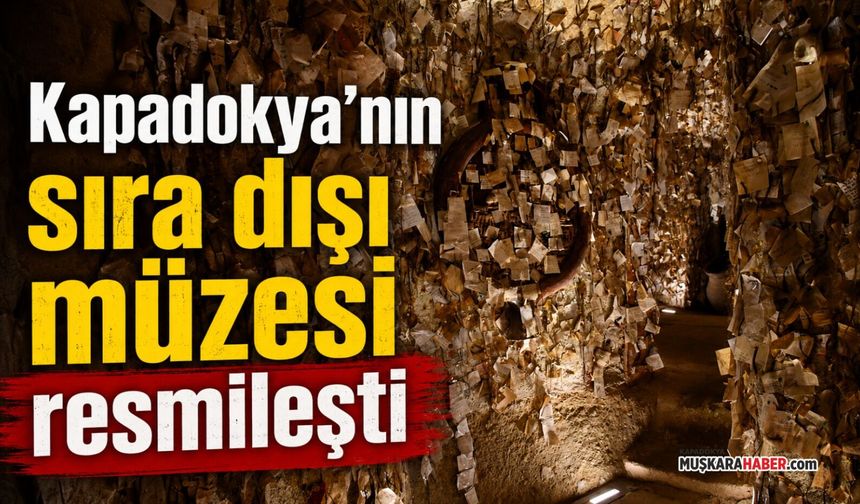 Dünyaca ünlü Saç Müzesi resmi müze statüsü kazandı