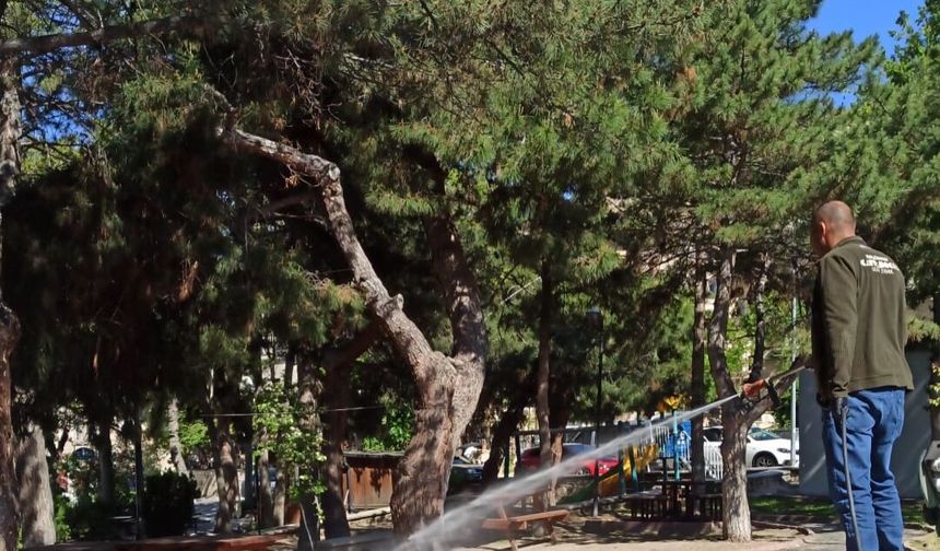 Ürgüp'te sivrisineklere karşı alarm! Belediye yaz boyunca sahada olacak