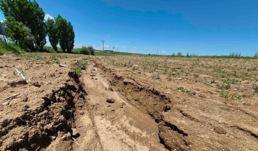 Ürgüp'te çiftçiler için çifte tehlike! Yollar bozuldu, risk arttı