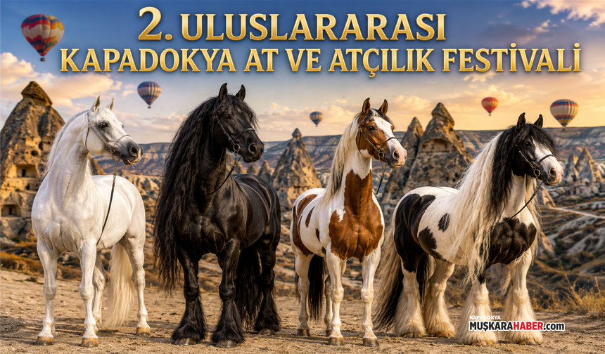 Atlar Kapadokya’da yarışacak: Güzellik yarışmasına başvurular başladı