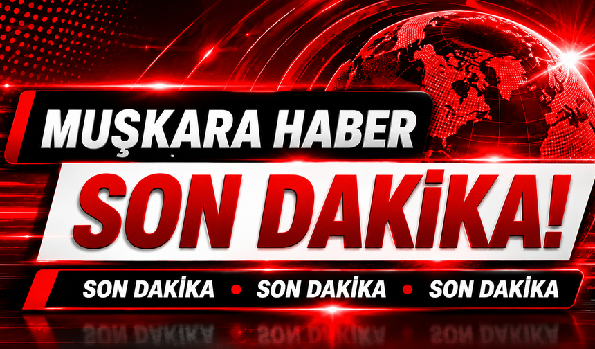 Korkunç kaza! Tır şarampole devrildi, şoför yanarak öldü