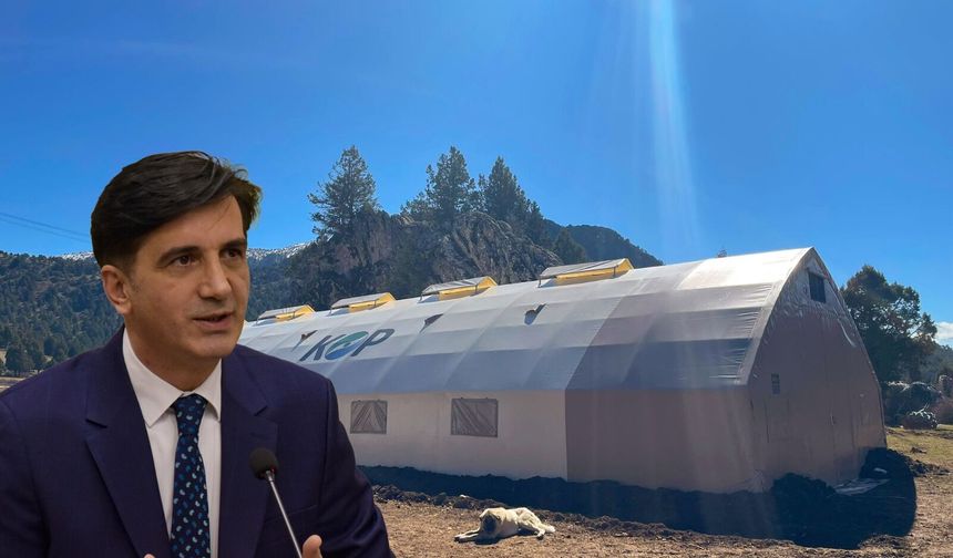 Nevşehir'de küçükbaş hayvancılıkta dikkat çeken büyüme!
