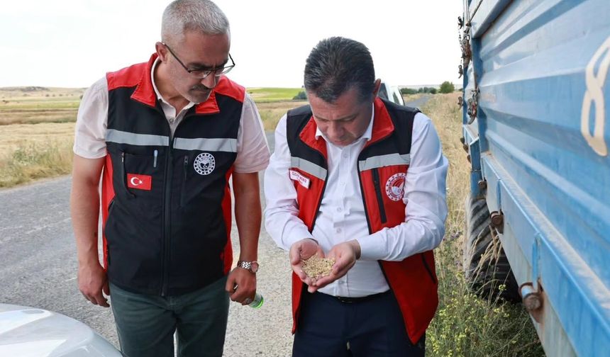 Nevşehir’de arpa hasadı başladı: Yüksek rekolte beklentisi