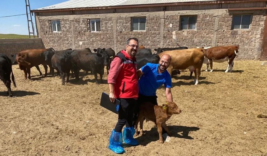 Üreticilere şubatta teslim edilmişti: İlk yavrular dünyaya geldi