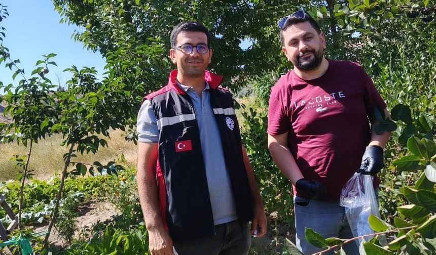 Nevşehir’de organik ürünlere sıkı takip: Numuneler alındı