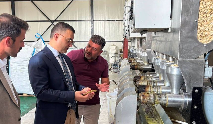 Nevşehir’de tıbbi ve aromatik bitkiler katma değere dönüşüyor