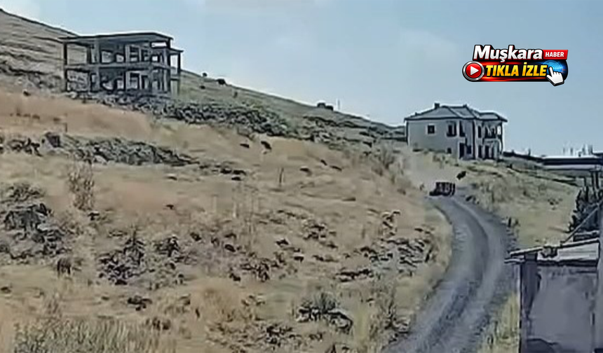 Nevşehir’de korku dolu anlar kamerada: 3’ü çocuk 5 yaralı