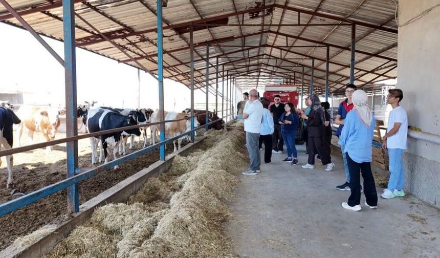 Sınıftan sahaya! Stajyerler mesleğin inceliklerini yerinde öğrendi