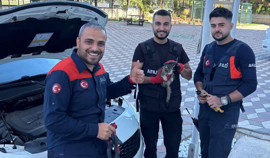 Aracın kaputuna sıkışan kedi için AFAD seferber oldu