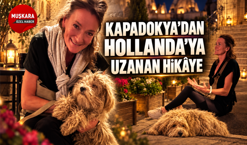 Hollandalı turistin Kapadokya tatili yaralı bir köpekle bambaşka bir hikâyeye dönüştü