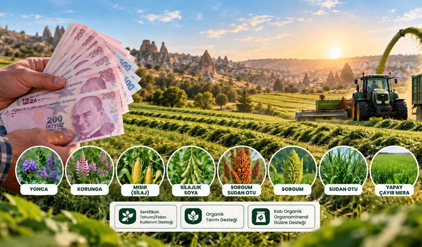 Çiftçiye yeni destek: Dekar başına ödeme tutarı belli oldu