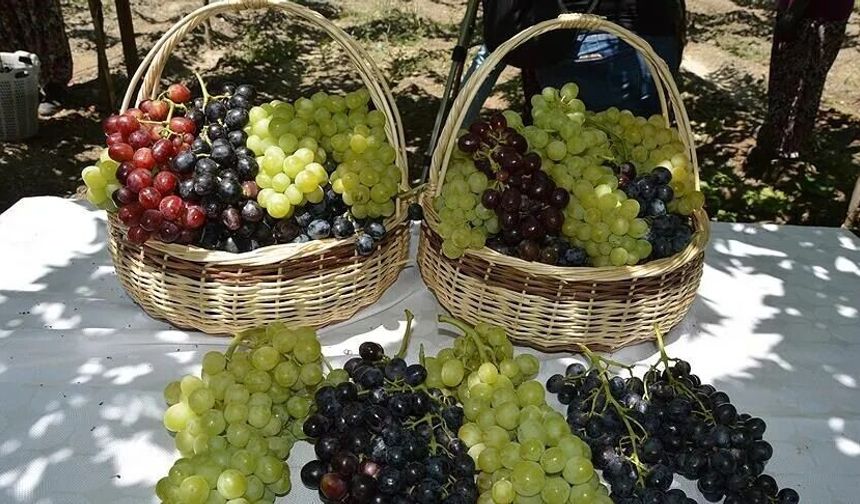 Üzüm için kritik toplantı: Üreticinin beklediği fiyat gelecek mi?