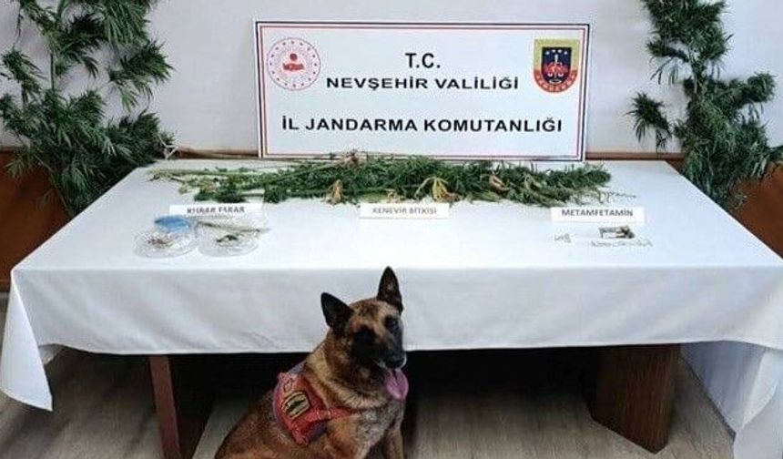 Nevşehir’de narkotik operasyonu: Kilolarca esrar ele geçirildi