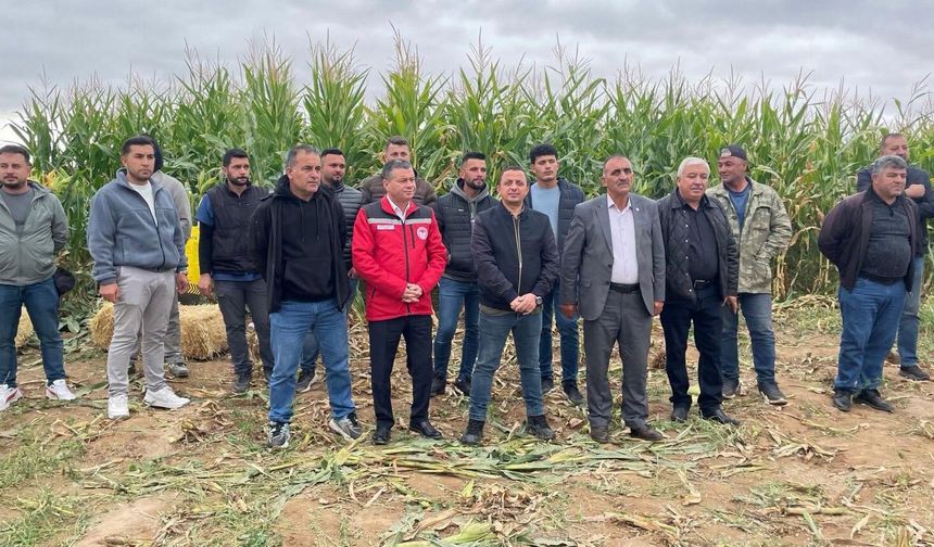 Nevşehir’de silajlık mısır hasadı başladı