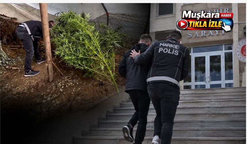 Nevşehir’de narkotik operasyonu: Çok sayıda uyuşturucu ve silah ele geçirildi