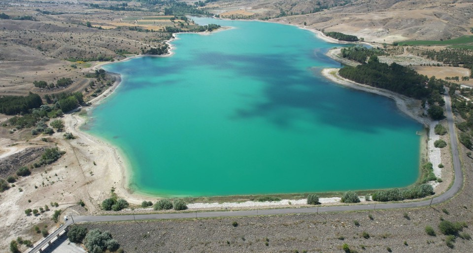 Damsa-1