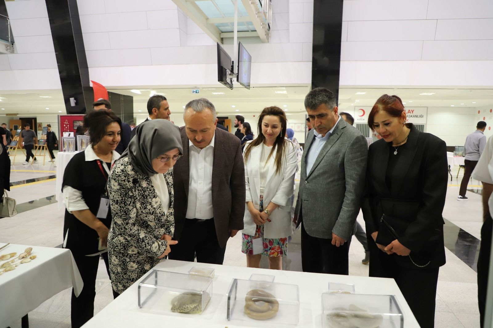 Su Altı Canlılarına Ait Örnekler Büyük Ilgi Gördü (2)
