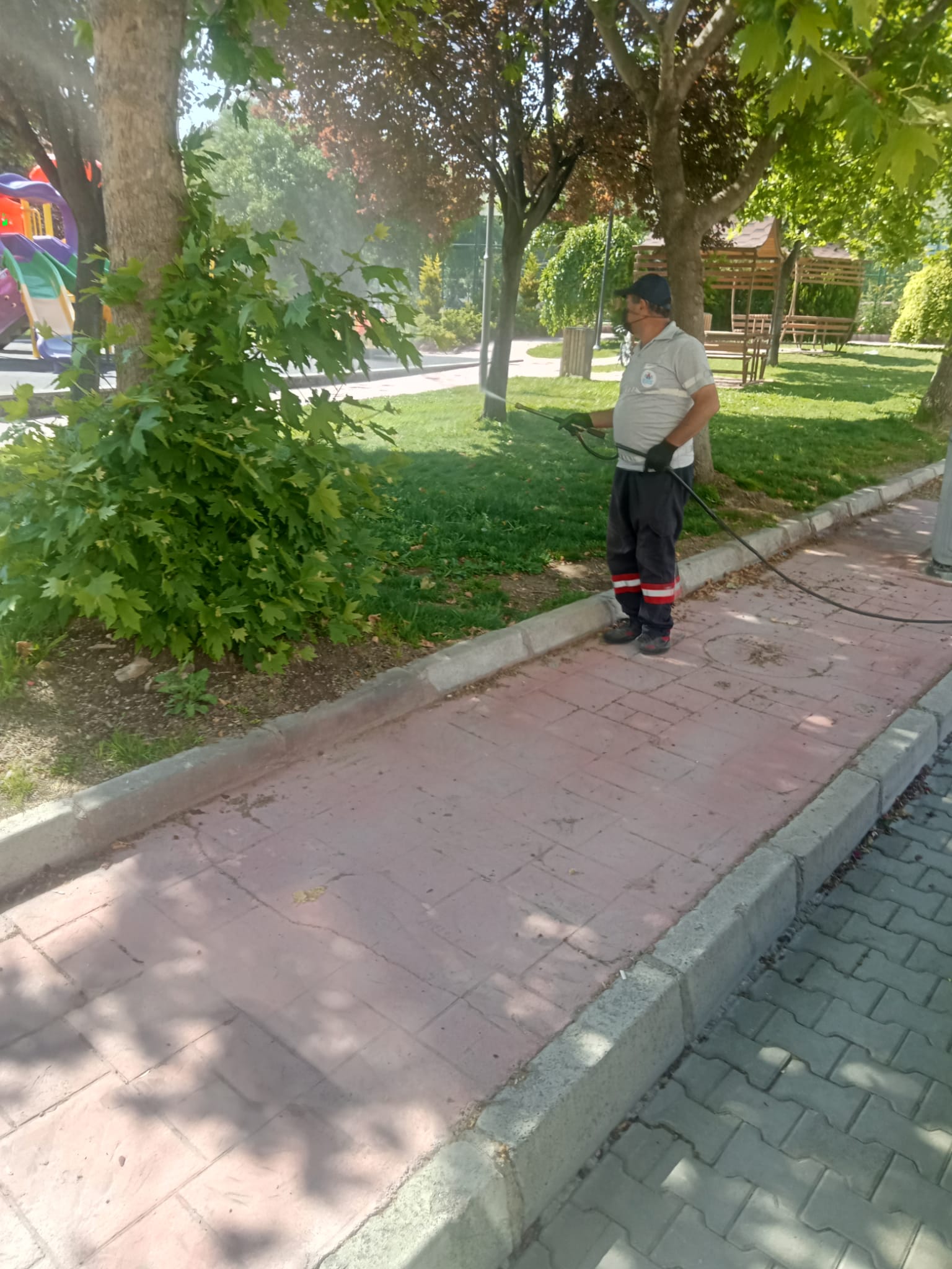 Whatsapp Image 2025 06 17 At 10.26.02