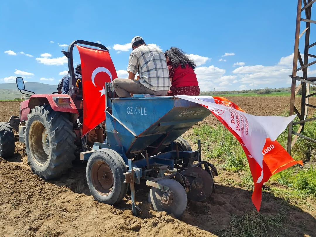 Yerli Ve Milli Patates Tohumları Toprakla Buluştu!Saruhan Ve Nigşah Patates Tohumu Çeşitleri Artık Sahada! İl Tarım Ve Orman Müdürlüğümüz Teknik Ekipleri Tarafından, Niğde Patates Araştırma Enstitüsü Tarafından