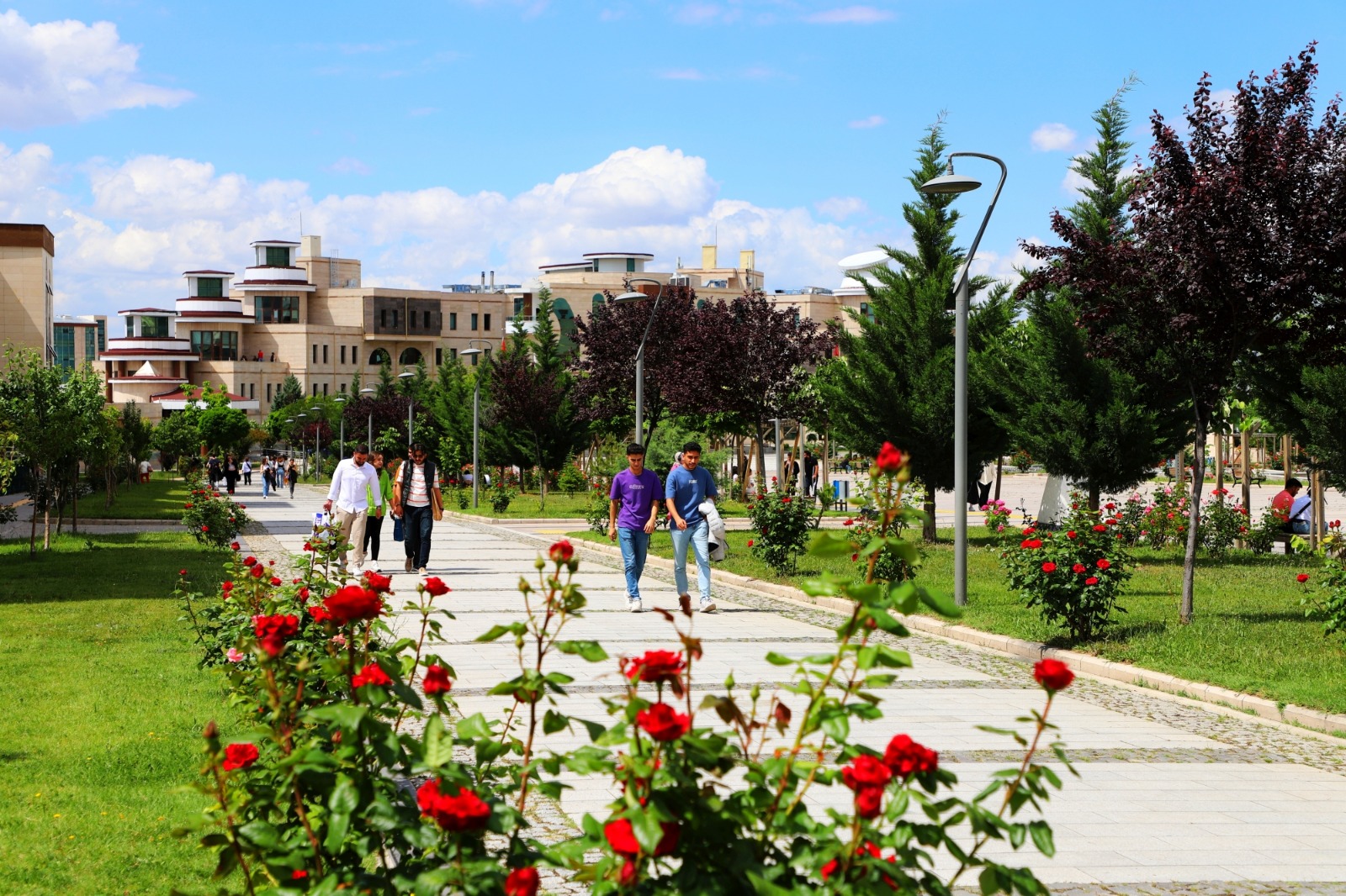 Nevşehir Hacı Bektaş Veli Üniversitesi (Nevü) Rektörü . (7)