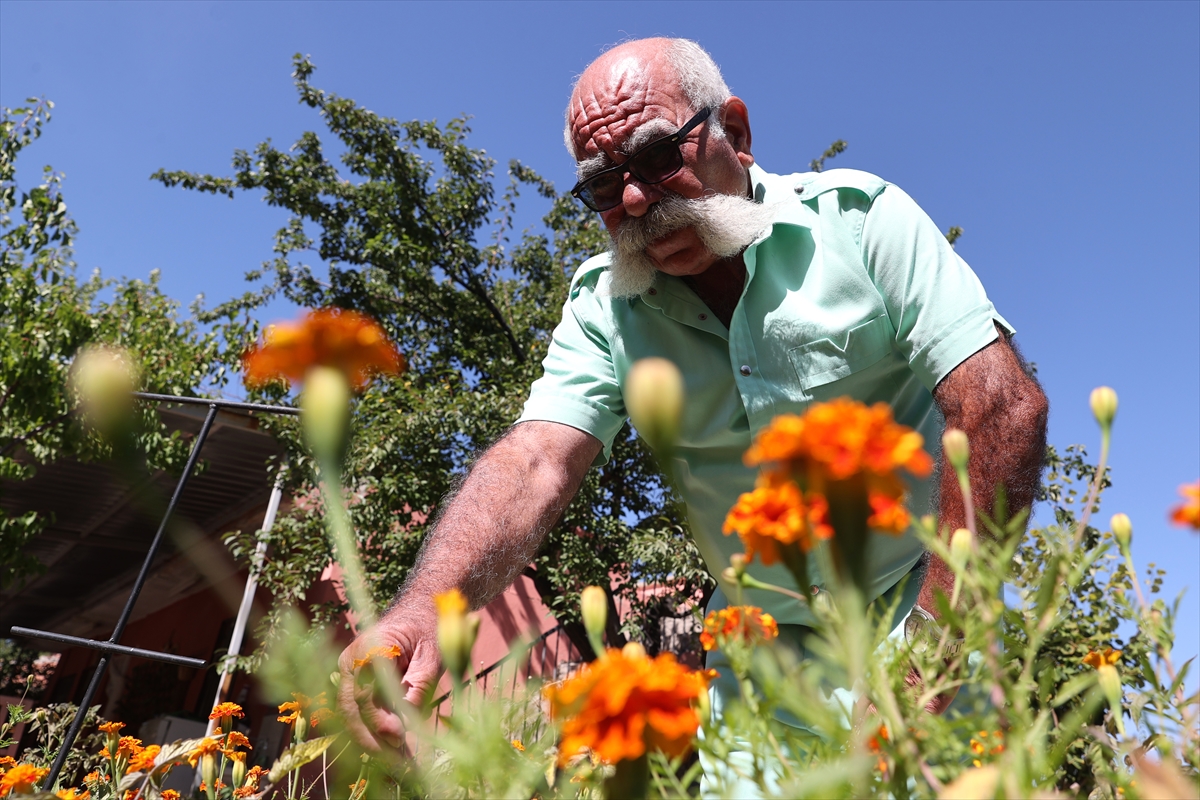 A A 20250917 39136783 39136776 N E V S E H I R I N R E N K L I P A L A S I 50 Y I L D I R T E K R E N K L I G I Y S I L E R L E G E Z I Y O R