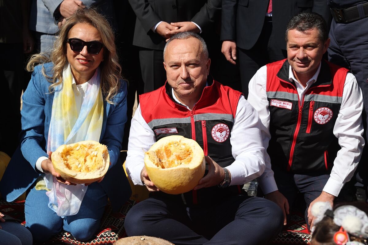 Nevşehir’de kabak çekirdeği hasadı başladı