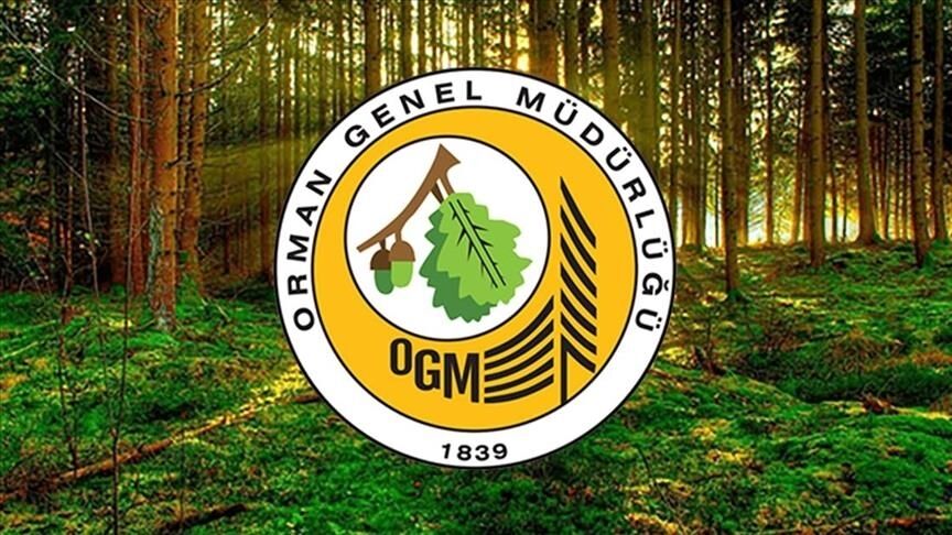 Orman Genel Müdürlüğü duyurdu: 262 işçi alınacak