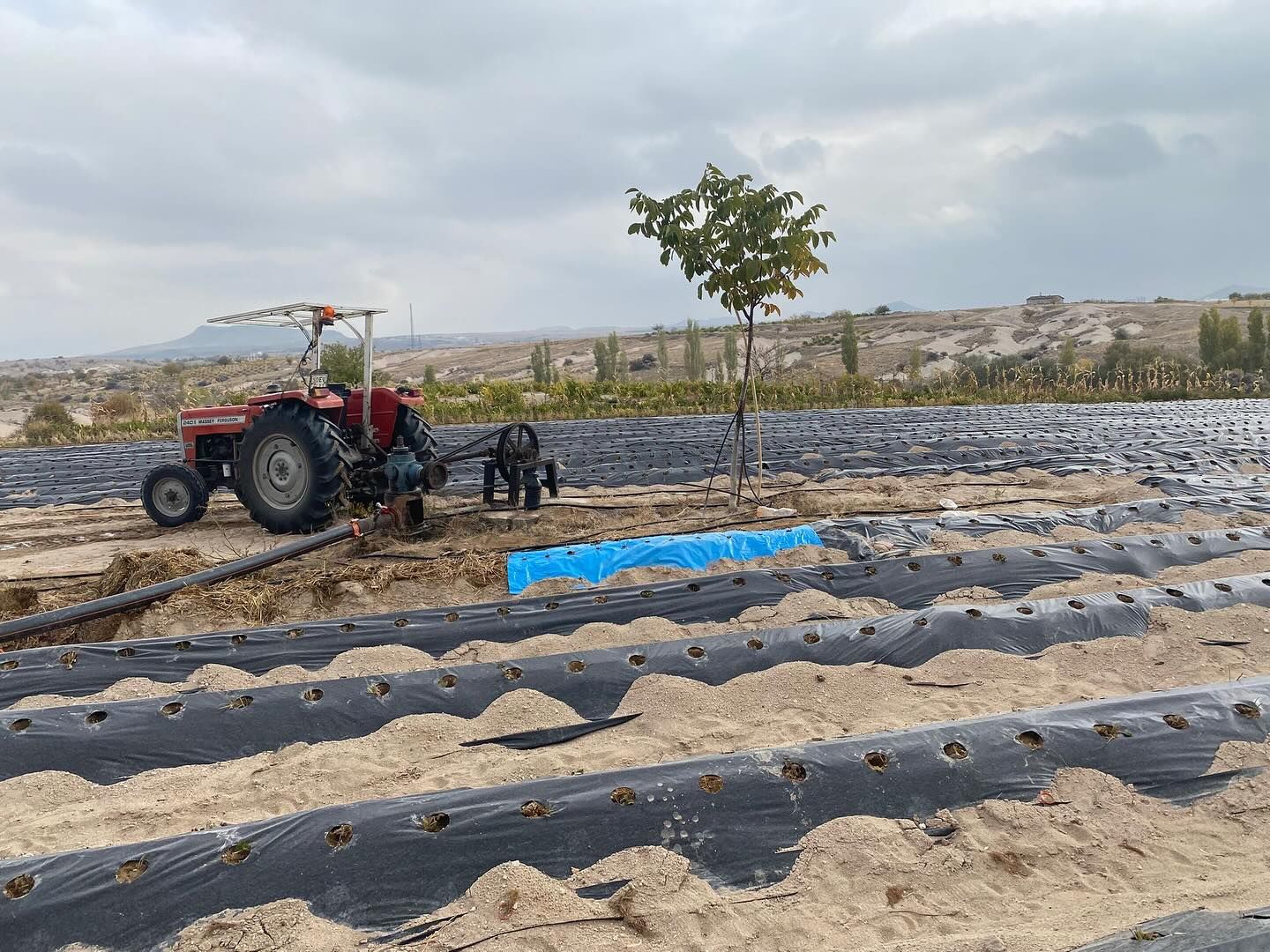 Nevşehir’de üreticiye yeni gelir olacak proje start aldı