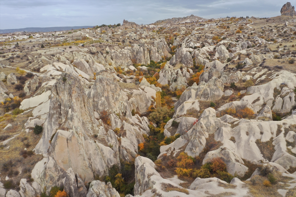 A A 20251030 39563320 39563314 S O N B A H A R M A N Z A R A L A R I K A P A D O K Y A Y A R E N K K A T T I