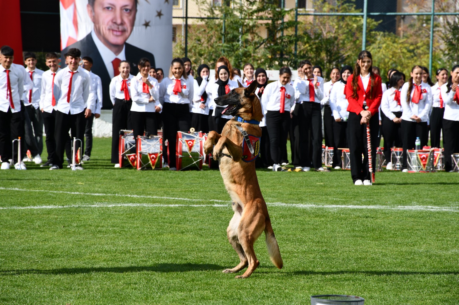 Whatsapp Image 2025 10 29 At 12.31.28 (1)