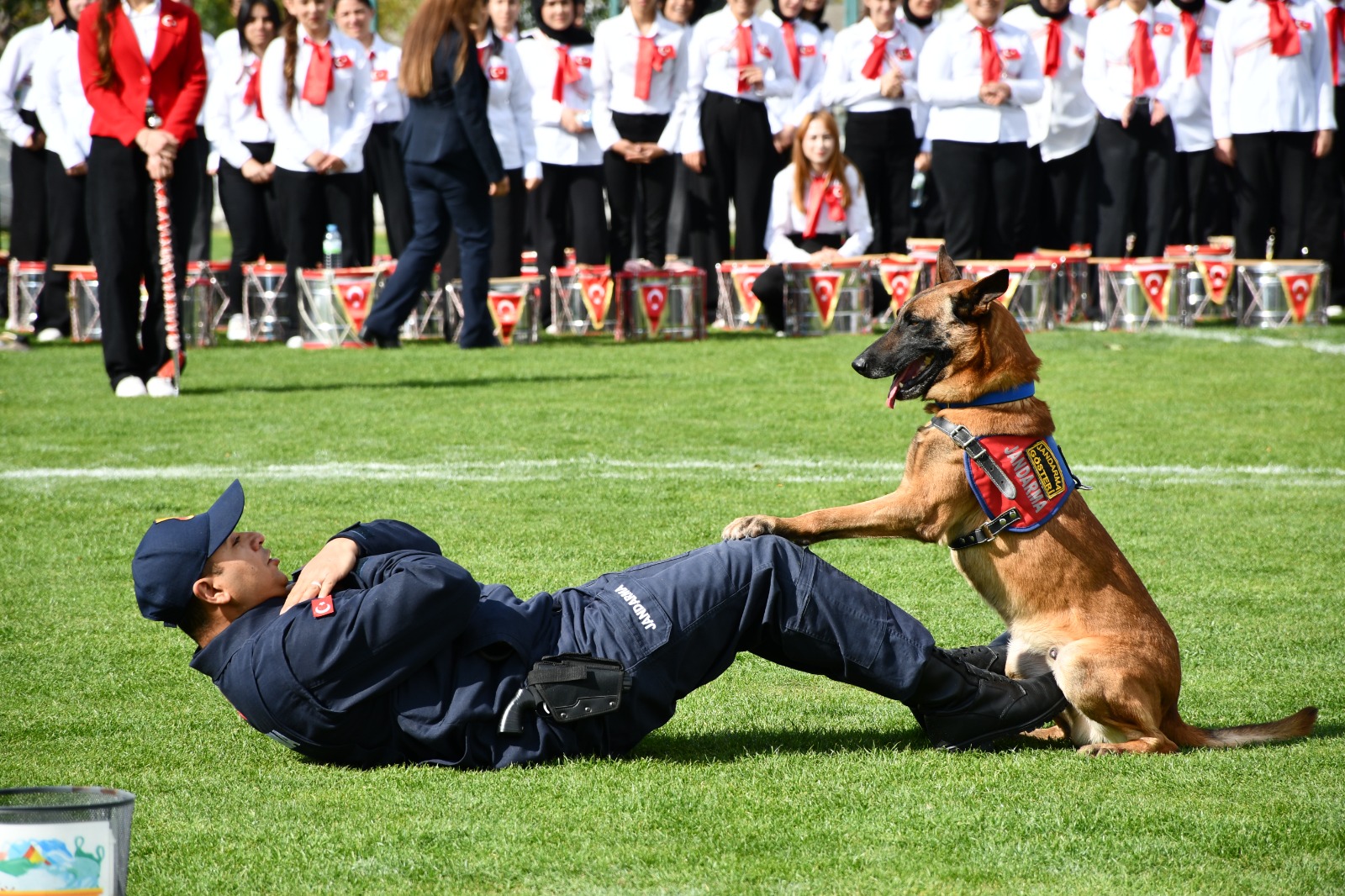 Whatsapp Image 2025 10 29 At 12.31.28