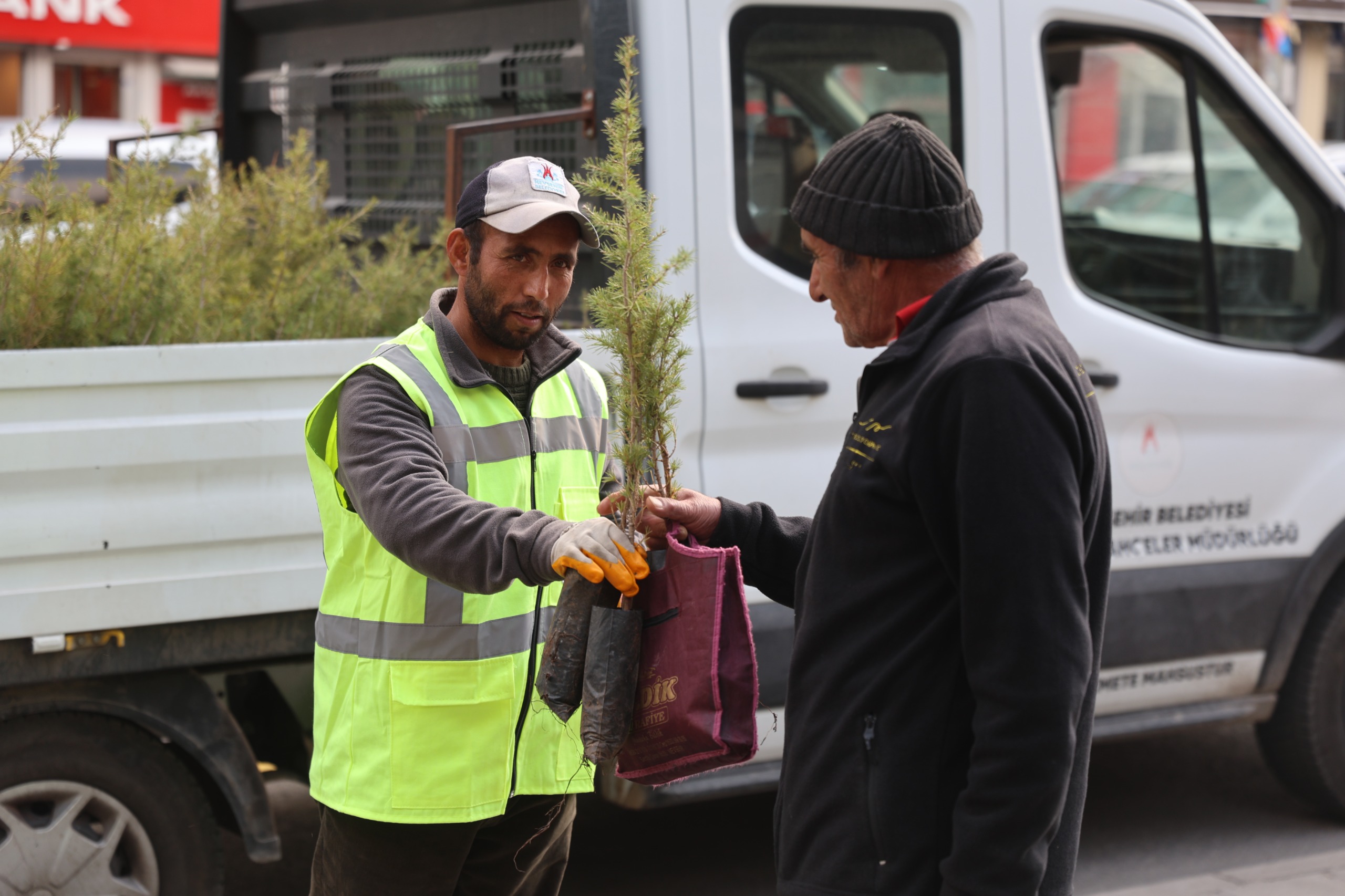 11 Kasım Ağaçlandırma Günü'nde Fidan Dağıtımı (14)