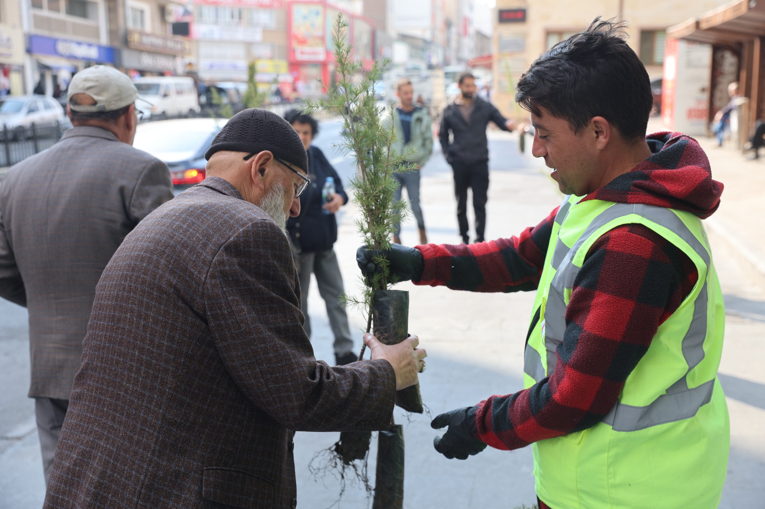 11 Kasım Ağaçlandırma Günü'nde Fidan Dağıtımı (6)