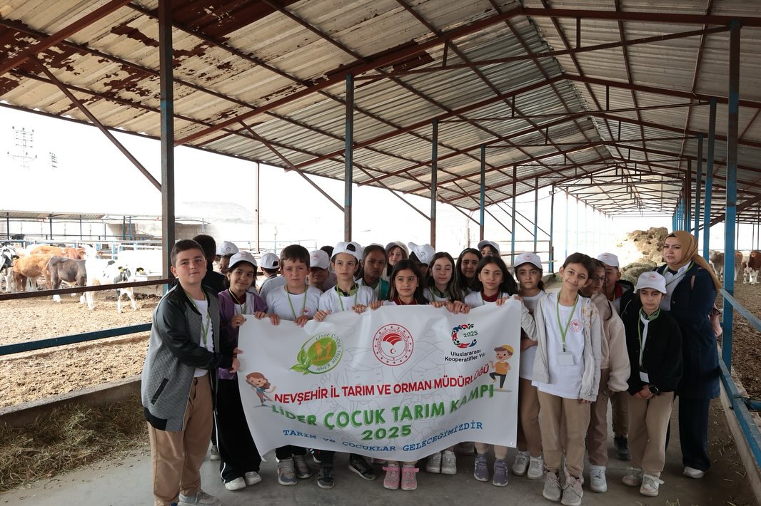 572151520 18170720434371746 5963489559181028813 N