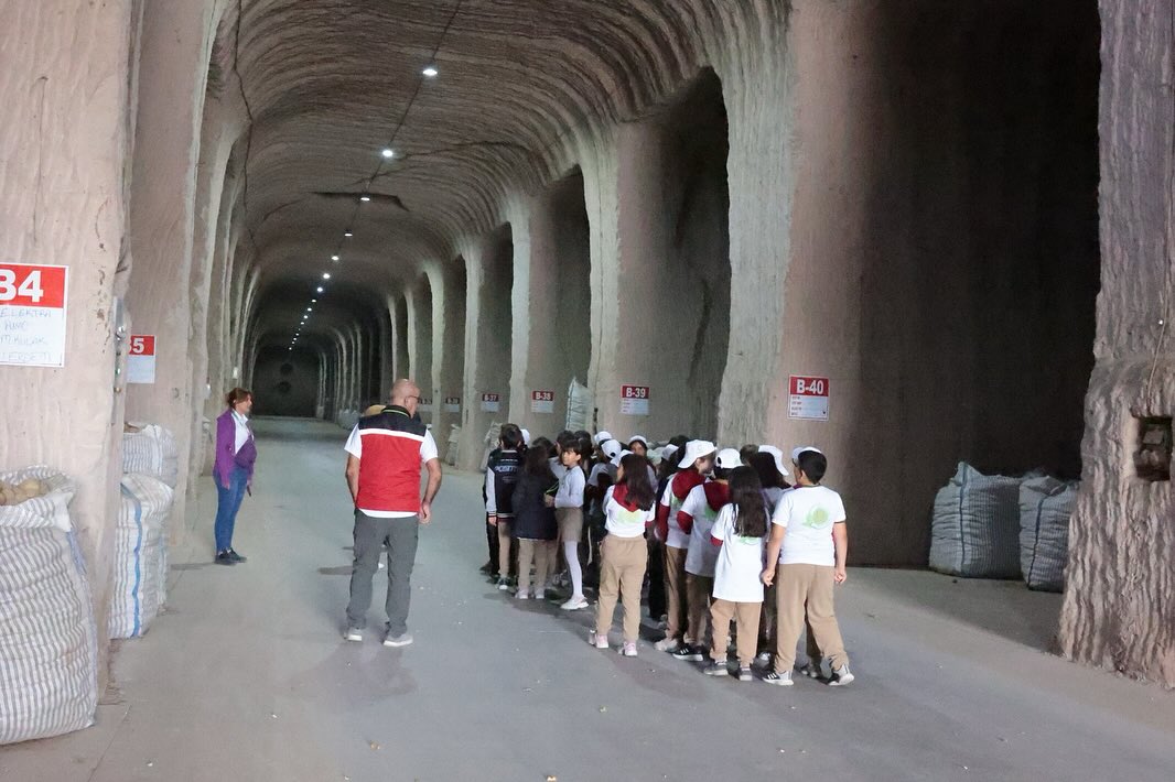 572619935 18170720458371746 1339932657421320382 N