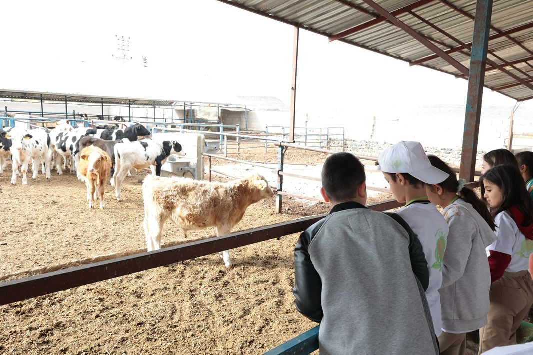 573536364 18170720437371746 1887339479327501628 N